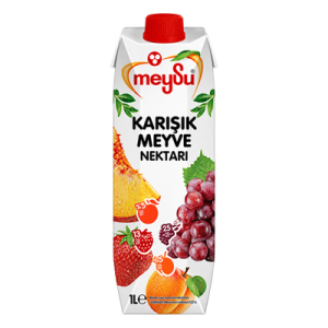 Karışık Meyve Nektar
