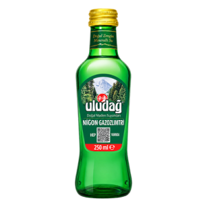 Maden Suyu