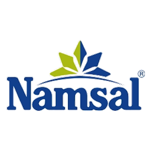 Namsal