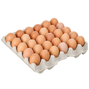 Sarı Yumurta